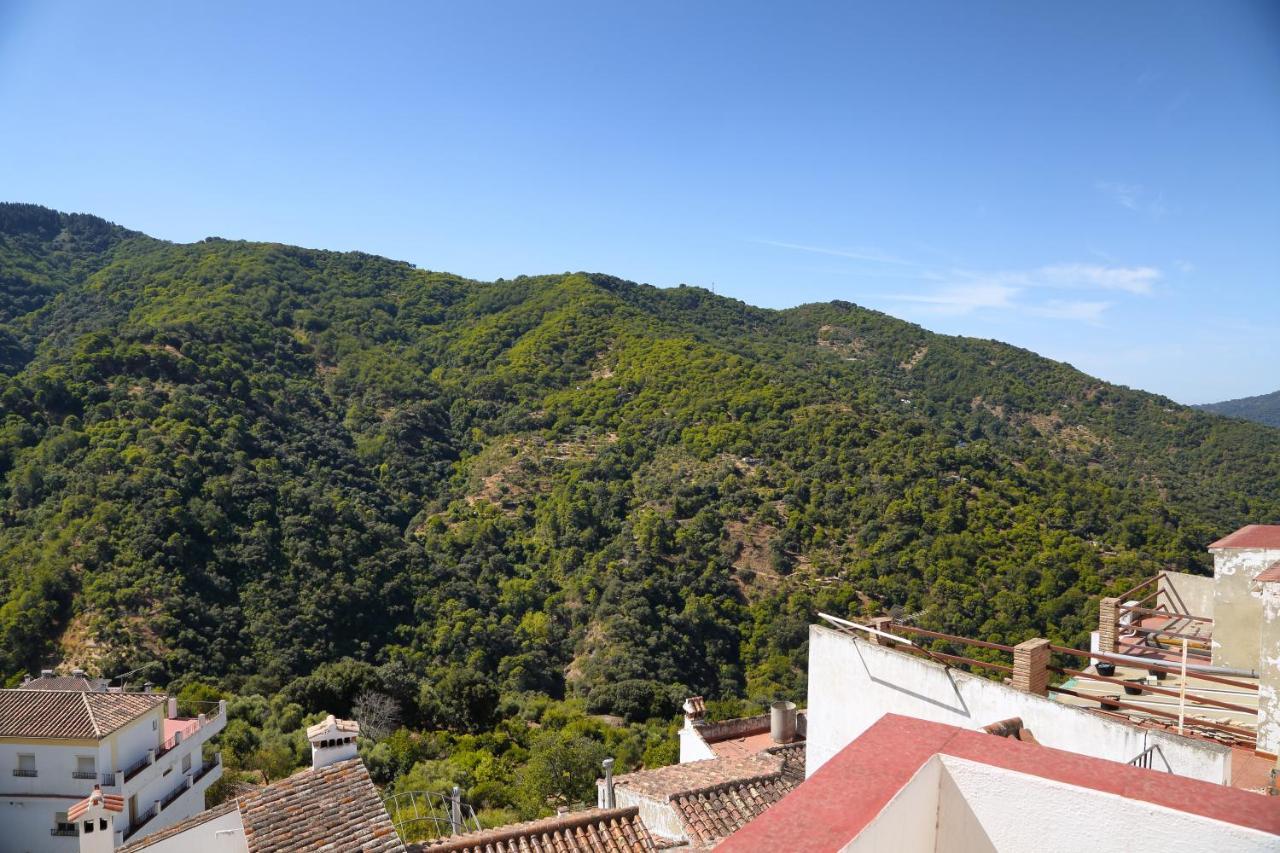 Jubrique Casa La Parraヴィラ エクステリア 写真